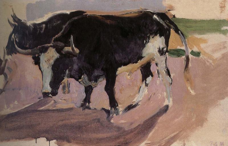 Joaquin Sorolla Bull Project Germany oil painting art
